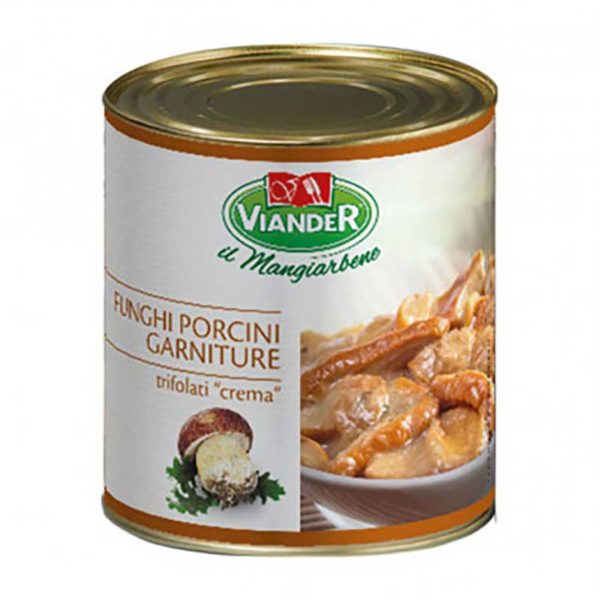 Funghi Porcini