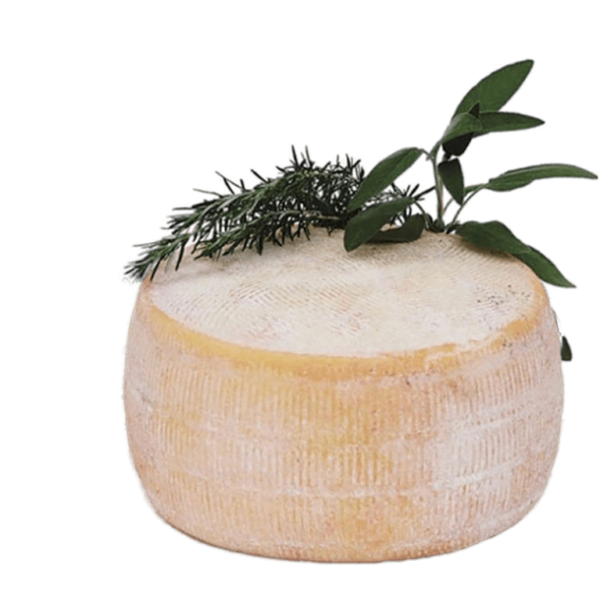 Sheep Cheese - Pecorino Del Alta Murgia Caseificio Coratino 2.3kg Approx